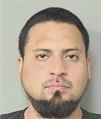 Joshua Santiago, - Palm Beach County, FL 